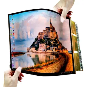 13.3 Inch Flexible OLED LCD HD Screen AMOLED Flexible Thin Module Paper thin Panel Custom Display