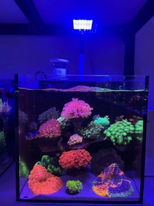 A.S. Smart 12W Flat Panel LED Light Venta al por mayor Marine Fresh Nano Tanks Opciones de color de 3 canales Control de intensidad en caja - Product Image 6