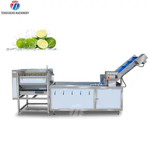 Automatische Peer Avocado Mango Oranje Roller Reiniging Stro Verwijdering Machine Fruit Citrus Wassen Productielijn