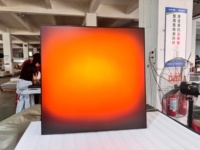 LUZ Light Box Art Frame Square Acrylic Painting APP Control Remoter Backlit Sunrise Birthday Living Room Home Deco