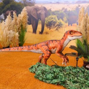 Scène de combat de dinosaures jurassiques : Shunosaurus contre trois Velociraptors, modèle animatronique, structure métallique extérieure pour centre commercial et école - Product Image 6