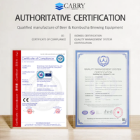 Reforetech — Kit de brassage professionnel, 500l, 1000l, 2000l, pour komucha, boîte de Fermentation conique pressurisée