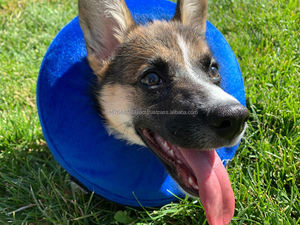 Factory Inflatable Soft Pet Dog Cone Collar Alternative After Surgery Neck Recovery Collar Cone for Small Medium Large Dogs Cats - Product Image 3