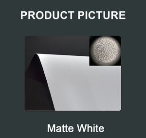 Pantalla de Proyección de Pared 2024, 70-250 Pulgadas /OEM, Blanca Mate, 100% Ganancia, 4K UHD, 16:9, con 3 Años de Garantía, Gallery-Soft Mat - Product Image 3