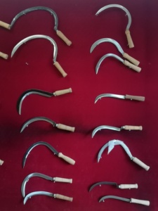 Faucille à manche en bois S202 - Product Image 6