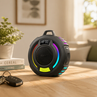 Haut-parleur sans fil portable Havit SK946BT IPX7 étanche V6.0 RGB ultra-léger avec 9H d'autonomie, TWS et crochet pour la randonnée/extérieur