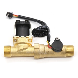 Chauffe-eau en laiton avec capteur Hall, turbine à débit, filetage mâle 1/2 avec vanne <span class=keywords><strong>de</strong></span> commande électrique, électrovanne 12V ZHF04-B8, vanne intégrée - Product Image 1