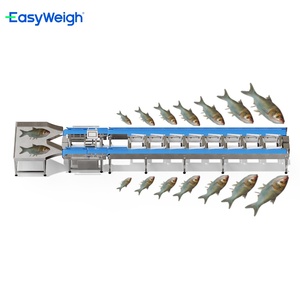 Máy phân loại cá sống, máy phân loại cá tra, máy chế biến cá đã được điều chỉnh - Product Image 1