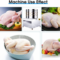 Mini Plumeuse à Volaille Portative pour l'Épilation des Poulets des Petites Fermes