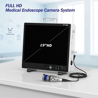 Système de caméra endoscopique portable FHD 19 pouces IKEDA YKD-9119 intégré pour ORL et laparoscopie