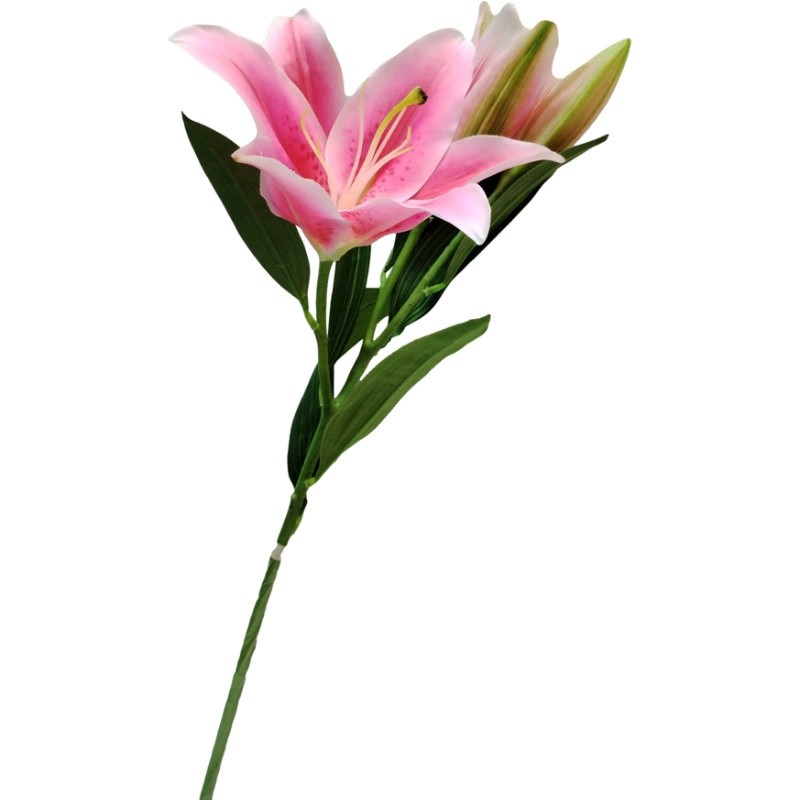 Rose foncé