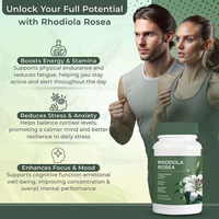 En stock – 60 capsules de supplément de Rhodiola Rosea pour le soutien contre le stress, la concentration et l'énergie – Vente en gros et dropshipping