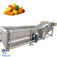 Aangepaste 2025 Nieuwe Ontwerp Automatische Dragon Fruit Wasmachine Luchtbel Reiniging Groente Wasmachine 304 Roestvrij Staal