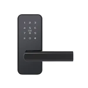 Fully Automatic Digital Lock Password Mechanical Digital Push Button Door Lock Automatic Digital Lock