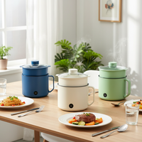 Petite cuisinière électrique multifonctionnelle, marmite portable individuelle pour nouilles et soupes en dortoir étudiant