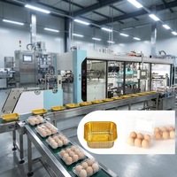 Machine de thermoformage automatique HengXing pour boîtes à hamburgers en PP, PET, PS, PVC, emballages à clapet pour sandwichs, moteur 10-35 cycles/min