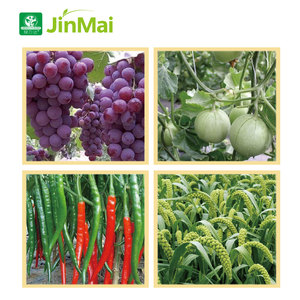 Fertilizante Agrícola NPK 19 19 19 OEM/ODM, Fertilizante Compuesto Soluble en Agua <span class=keywords><strong>con</strong></span> Micronutrientes Fe Mn Zn Cu <span class=keywords><strong>B</strong></span> - Product Image 4