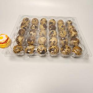 Contenedor ligero y transparente para 30 <span class=keywords><strong>huevos</strong></span> de codorniz, fácil de transportar, para uso en tiendas de <span class=keywords><strong>huevos</strong></span> frescos y la industria de catering. - Product Image 3
