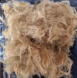 Algas naturales Seamoss Algas Rojas Hierba de coral seca <span class=keywords><strong>Gelidium</strong></span> Amansii para Navidad Día de San Valentín Jelly Weed <span class=keywords><strong>Gelidium</strong></span> Jelly - Product Image 3