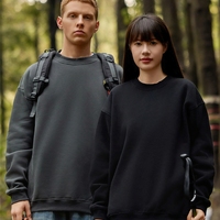 Sweat-shirts à capuche personnalisés OEM de haute qualité 350g pour hommes, streetwear, LOGO vierge, épais, oversize, unisexe, couleur unie, broderie 3D printemps