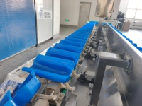 Automatische Sorteermachine Voor Appelananas-Aardappelfruit