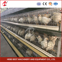 Cage d'élevage de poulets de type A Cage d'élevage de volailles pour bébés poussins