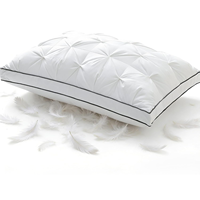 Coussin décoratif personnalisé en plumes de canard et d'oie, insert de coussin de couchage, coussin à plis froncés pour la maison, le canapé et l'hôtel