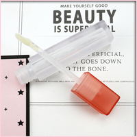Mode translucidité givré personnalisé 3ml carré brillant à lèvres emballage vide Liptint Tube