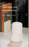 Diffuseur d'arômes portable USB mini 120 ml pour la maison, machine à parfum de table, nébuliseur d'huiles essentielles électronique de marque OEM, produit unique