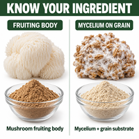 Poudre de champignon Crinière de lion (Hericium Erinaceus) de qualité industrielle - Extrait de champignon pour compléments alimentaires de soutien immunitaire en fût