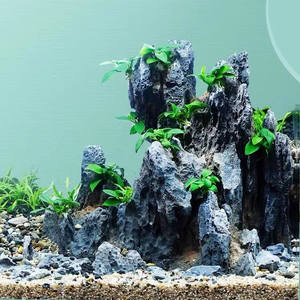 <span class=keywords><strong>Seiryu</strong></span> Pierre Aquarium Fish Tank Paysage Pierre Bleu Foudre Pierre - Product Image 2