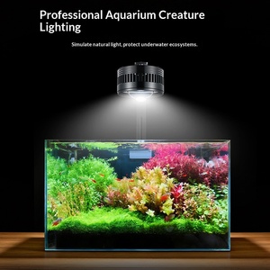 Lumière LED pour <span class=keywords><strong>aquarium</strong></span> avec contrôleur, lumière pour <span class=keywords><strong>aquarium</strong></span> à spectre complet pour <span class=keywords><strong>eau</strong></span> <span class=keywords><strong>douce</strong></span> - Product Image 4