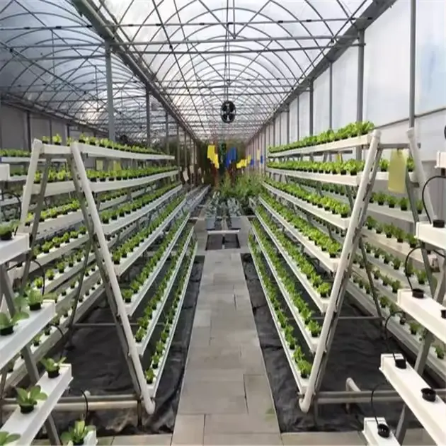 Skyplant nft hydroponic growing systems greenhouse complete hydroponic system nft for lettuce indoor growing system