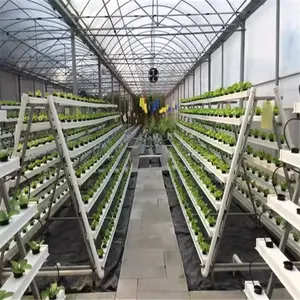 Skyplant Nft Hydroponic Growing Systems Greenhouse Complete Hydroponic System Nft For Lettuce Indoor Growing System