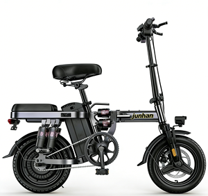 Vélo de ville pour adultes OEM/ODM, 25 km/h, frein à disque mécanique, moteur arrière sans balais 250W 48V, batterie lithium pliable - Product Image 2