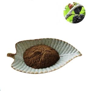 대량 가격 좋은 품질 천연 화이트 모루스 알바 뿌리 껍질 추출물 뽕나무 껍질 추출물 분말 - Product Image 1