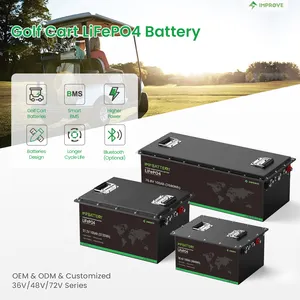 Tamaño personalizado 36V 48V 70V 72v 100ah 105Ah 150Ah 200ah Batería recargable de iones de litio LiFePO4 para carrito de golf