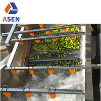 Automatische fruit- en groentewasmachine industriële tomaten komkommer gember reinigings- sorteer- en verwerkingslijn fruitwasser