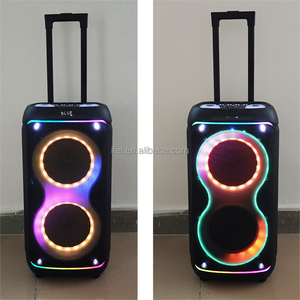 Enceinte portable sans fil pour DJ, karaoké, fête, studio, double haut-parleur de 8 pouces, basses puissantes, LED RVB, utilisation en extérieur, sur scène, sur ordinateur, IFeiGift 2845 - Product Image 4
