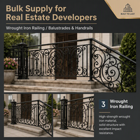 Rampe et balustrade traditionnelles en fer forgé avec caractéristiques anti-impact et anti-rouille, installation facile pour usage communautaire