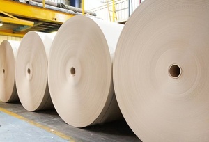 Hot Sale <b>A4</b> 250g 300g 450gg C1s Coated White Cardboard Paper Fbb Paper Board in Jumbo Roll/Sheet - Product Image 6