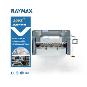 Raymax Nieuwe Stijl Cnc Persrem En Buigmachine Voor Plaatbewerking