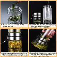 Bouteille d'eau en verre borosilicate à double paroi de 400 ml, infuseur à thé soufflé à la bouche, anti-fuite, écologique, gourde de voyage