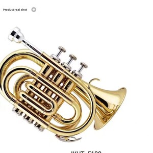 <span class=keywords><strong>Tuba</strong></span> de voyage BB en laiton laqué or, instrument de musique durable - Product Image 3
