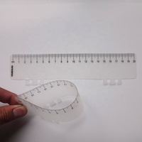 Fournisseur chinois, nouveaux produits phares pour règles en PVC et PP personnalisées promotionnelles
