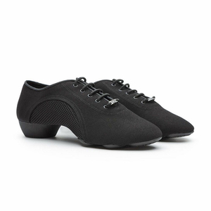 Fábrica al por mayor zapatos de baile de salón profesionales para hombres entrenamiento de enseñanza Bachata Salsa tacón bajo BD zapatos de baile latino para hombres - Product Image 2