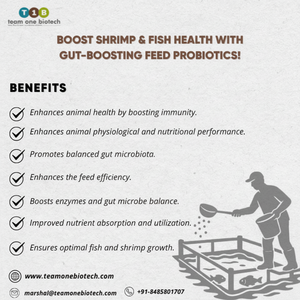 สารเสริมโภชนาการสำหรับการเลี้ยงปลาแบบโปรไบโอติก  อาหารเสริมที่จำเป็นสำหรับการเพาะเลี้ยงสัตว์น้ำเพื่อสุขภาพที่ดี - Product Image 1