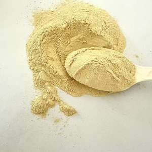 Rongtai-<span class=keywords><strong>B</strong></span> Proteína unicelular <span class=keywords><strong>para</strong></span> alimentación de acuicultura | El polvo de levadura de proteína cruda reduce la mortalidad de peces | Producción certificada por Halal - Product Image 2