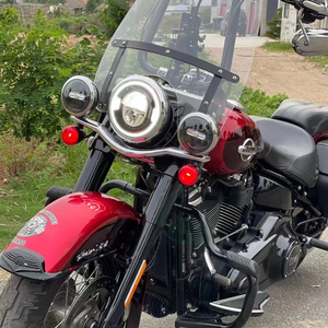 Motocicleta Cruiser Usada de 1200cc con Arranque a Patada, Color Mixto, Estilo Sportster Davidson, Sucesora de Harley en 2019 - Product Image 4