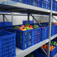 Caisse en plastique HAOSEN, boîte solide empilable, écologique, conteneurs de logistique, transformation alimentaire, Fujian, Chine. Échantillons à faible MOQ
